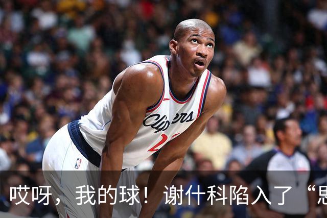 哎呀，我的球！谢什科陷入了“思考模式”结果被抢了